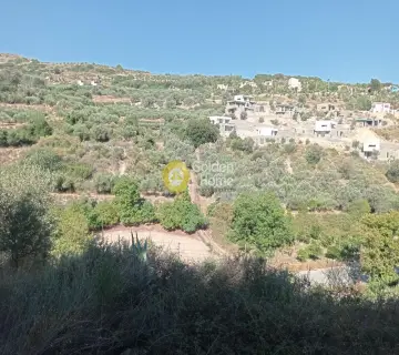Residential 12000m<sup>2</sup> for rent photo 4434392