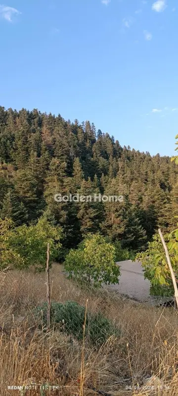 复合住宅 500m<sup>2</sup> for sale photo 10