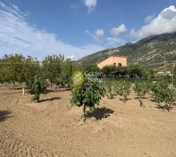 Golden Home Property Image