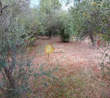 Residential 1100m<sup>2</sup> for sale photo 4431836