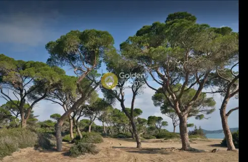 复式公寓 140m<sup>2</sup> for sale photo 25