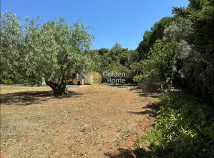 复式公寓 140m<sup>2</sup> for sale photo 26