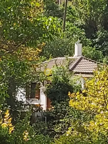 Μονοκατοικία 64τ.μ. προς πώληση φωτογραφία 55