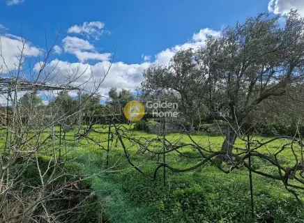 Residential 2039m<sup>2</sup> for sale photo 4434991