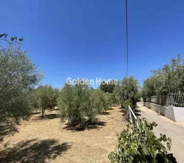 Residential 2030m<sup>2</sup> for sale photo 4