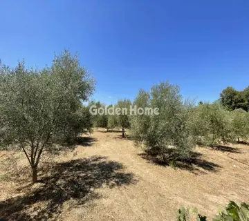 Residential 2030m<sup>2</sup> for sale photo 5