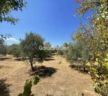 Residential 2030m<sup>2</sup> for sale photo 4984054