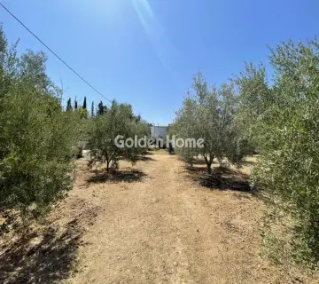 Residential 2030m<sup>2</sup> for sale photo 1