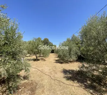 Residential 2030m<sup>2</sup> for sale photo 3
