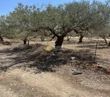 Residential 4000m<sup>2</sup> for sale photo 1