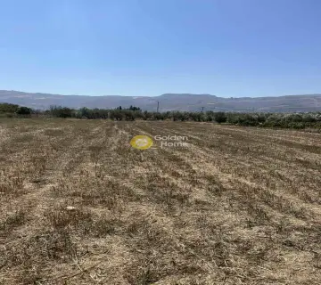 Residential 1000m<sup>2</sup> for sale photo 4437514