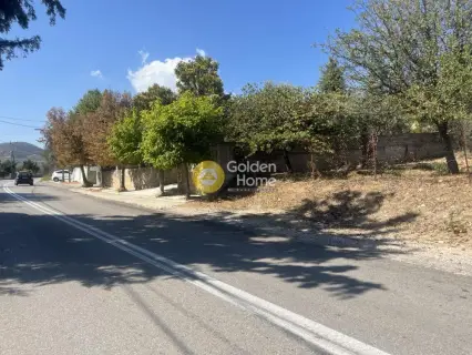 Residential 1200m<sup>2</sup> for sale photo 3