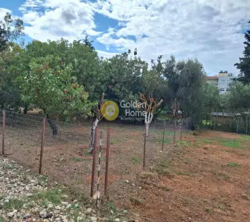 住宅 651m<sup>2</sup> for sale photo 3