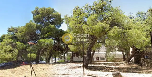 住宅 400m<sup>2</sup> for sale photo 3