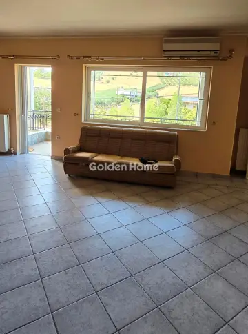 Μονοκατοικία 310τ.μ. προς πώληση φωτογραφία 5