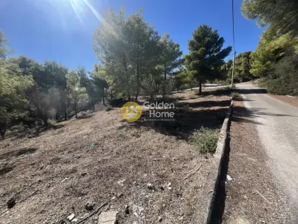 Οικιστικό 1010τ.μ. προς πώληση φωτογραφία 6