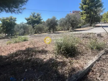 Οικιστικό 1010τ.μ. προς πώληση φωτογραφία 3