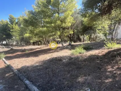 Οικιστικό 1010τ.μ. προς πώληση φωτογραφία 5