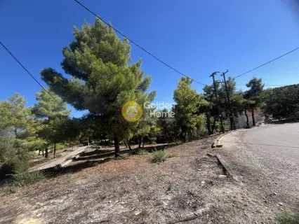 Οικιστικό 1010τ.μ. προς πώληση φωτογραφία 7