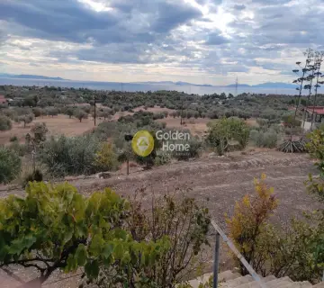 建物 260m<sup>2</sup> for sale photo 1