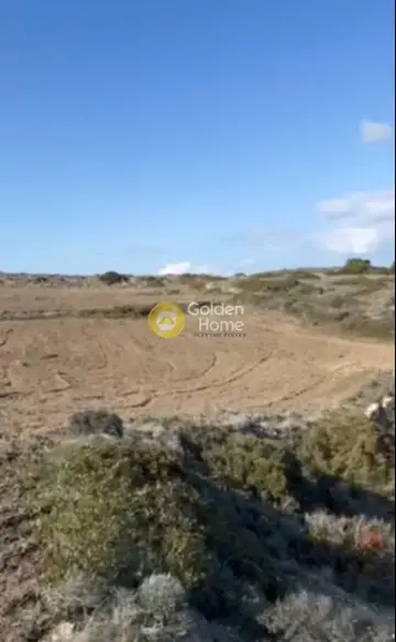 Έκταση 6900τ.μ. προς πώληση φωτογραφία 3