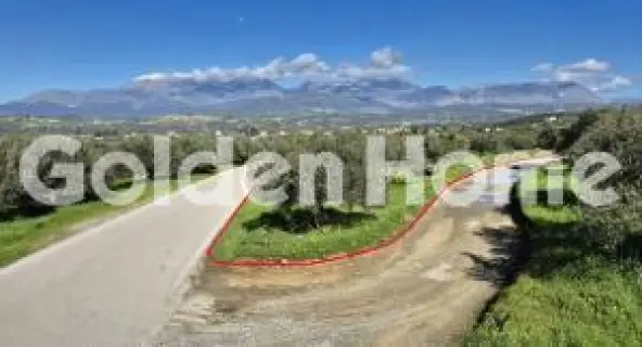 Golden Home Property Image