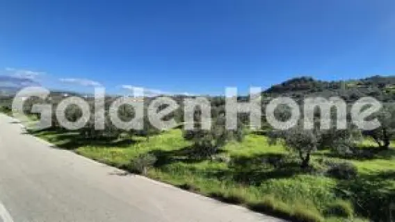 Golden Home Property Image