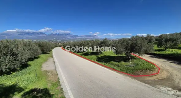 Golden Home Property Image