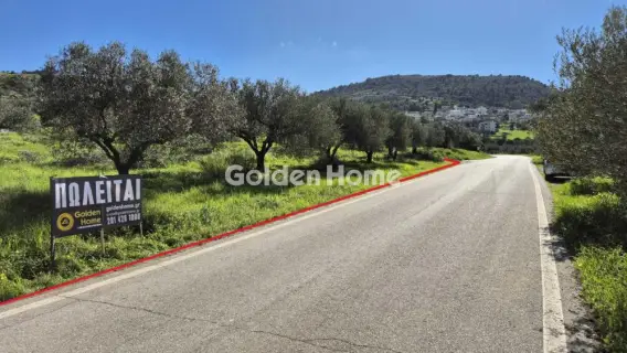 Golden Home Property Image