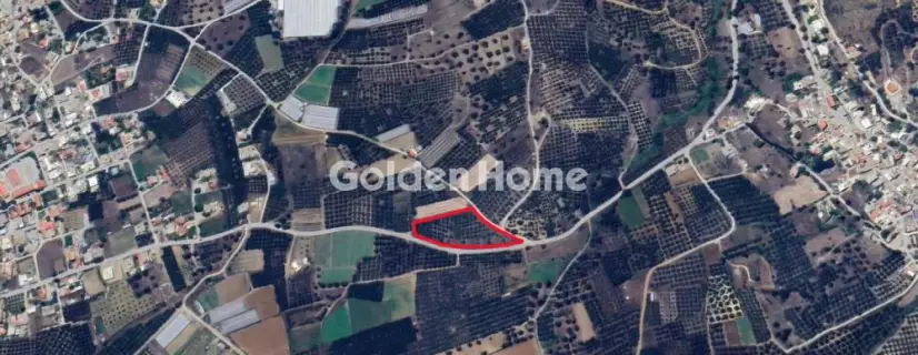 Golden Home Property Image