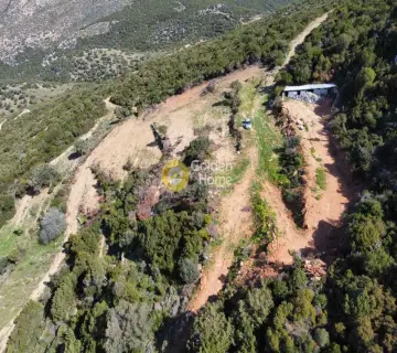 Residential 10000m<sup>2</sup> for sale photo 5