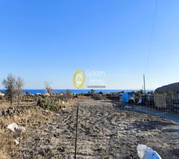 Αγροτεμάχιο 4021τ.μ. προς ενοικίαση φωτογραφία 1