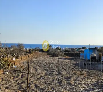 Αγροτεμάχιο 4021τ.μ. προς ενοικίαση φωτογραφία 2
