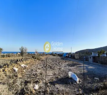 Αγροτεμάχιο 4021τ.μ. προς ενοικίαση φωτογραφία 4