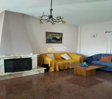 Μονοκατοικία 242τ.μ. προς πώληση φωτογραφία 6