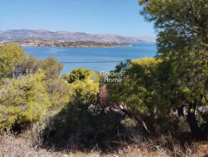 Residential 284m<sup>2</sup> for sale photo 1