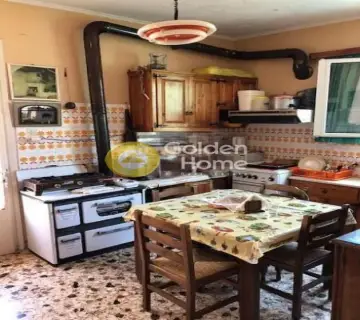 Αγροτεμάχιο 3000τ.μ. προς πώληση φωτογραφία 4459046