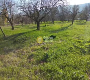 Residential 1600m<sup>2</sup> for sale photo 1