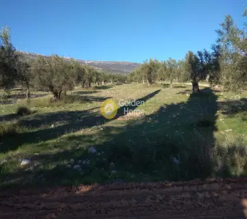 Parcel 3800m<sup>2</sup> for sale photo 5