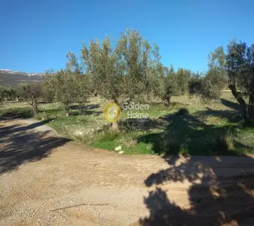 Parcel 3800m<sup>2</sup> for sale photo 1