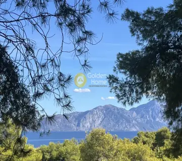 Οικιστικό 1040τ.μ. προς πώληση φωτογραφία 4462674