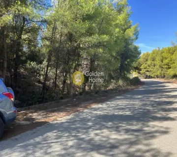 Οικιστικό 1040τ.μ. προς πώληση φωτογραφία 4462678