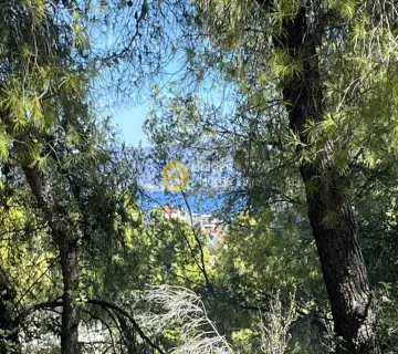 Οικιστικό 1040τ.μ. προς πώληση φωτογραφία 4462679