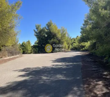 Οικιστικό 1040τ.μ. προς πώληση φωτογραφία 4462680