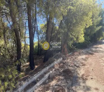 Οικιστικό 1040τ.μ. προς πώληση φωτογραφία 4462686