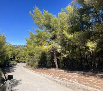 Οικιστικό 1040τ.μ. προς πώληση φωτογραφία 4462684