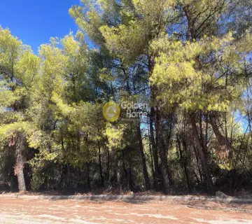 Οικιστικό 1040τ.μ. προς πώληση φωτογραφία 4462676