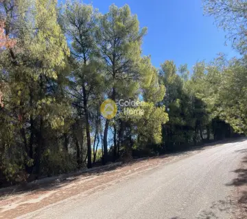 Οικιστικό 1040τ.μ. προς πώληση φωτογραφία 4462685