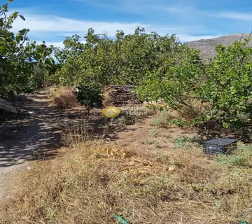 Μονοκατοικία 55τ.μ. προς πώληση φωτογραφία 4463577