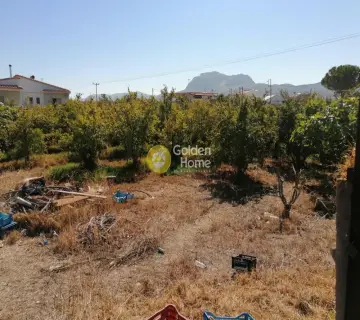 Golden Home Property Image